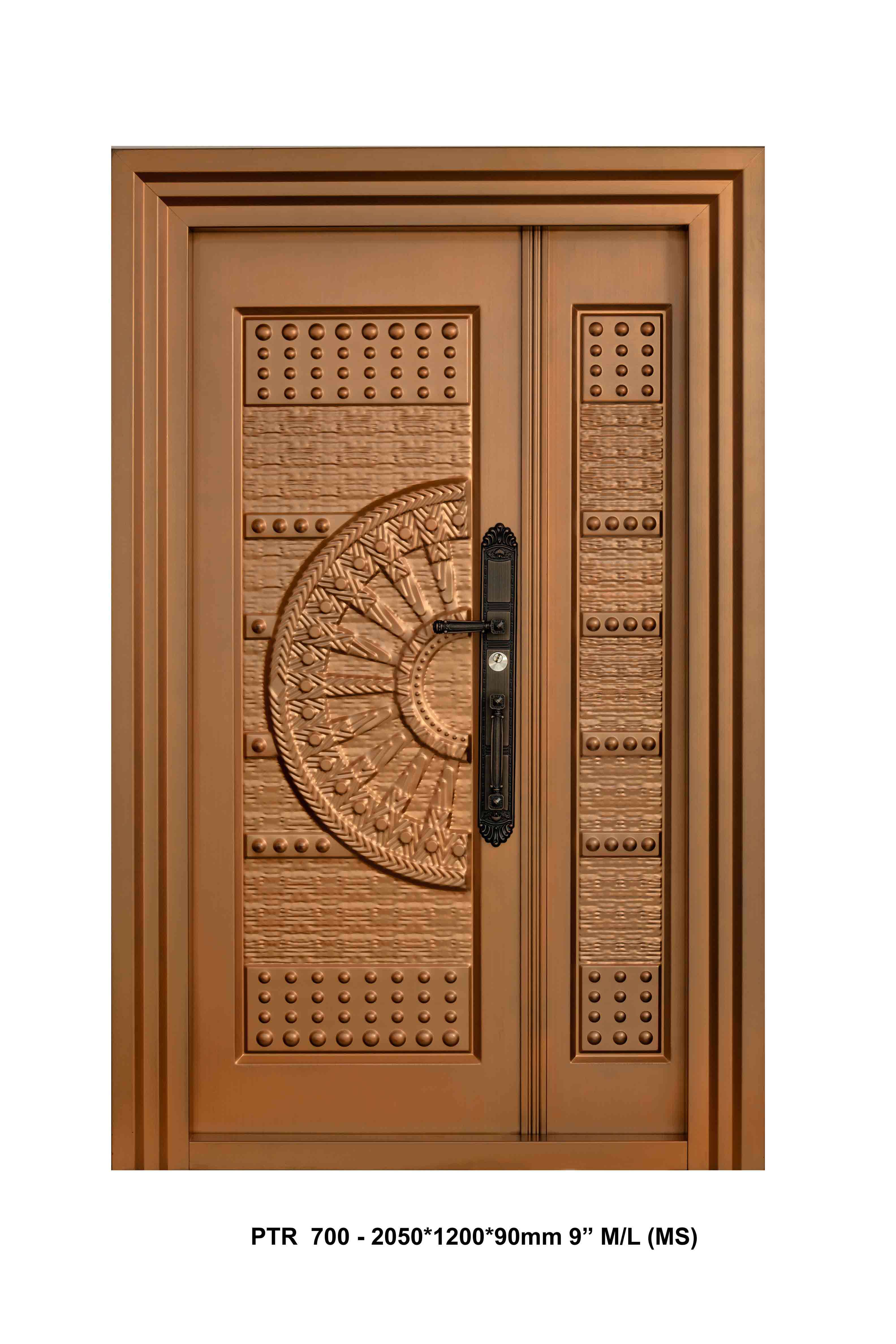 Premium Metal Door